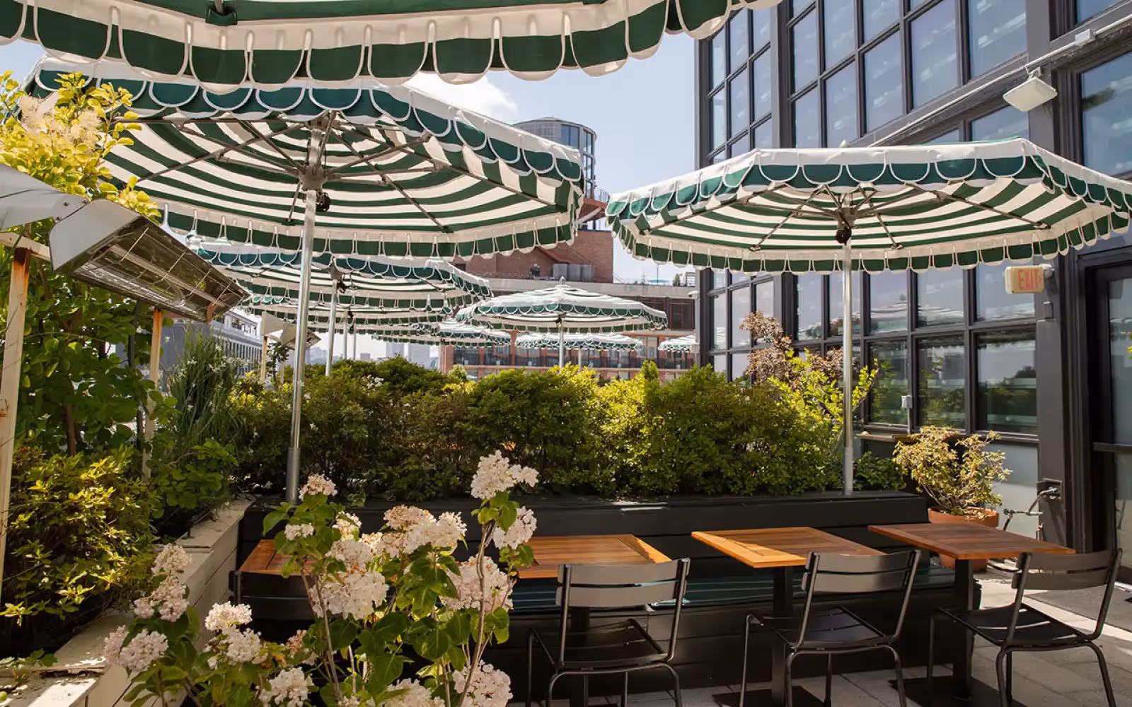 Rooftop Bar Blondeau in New York - 4