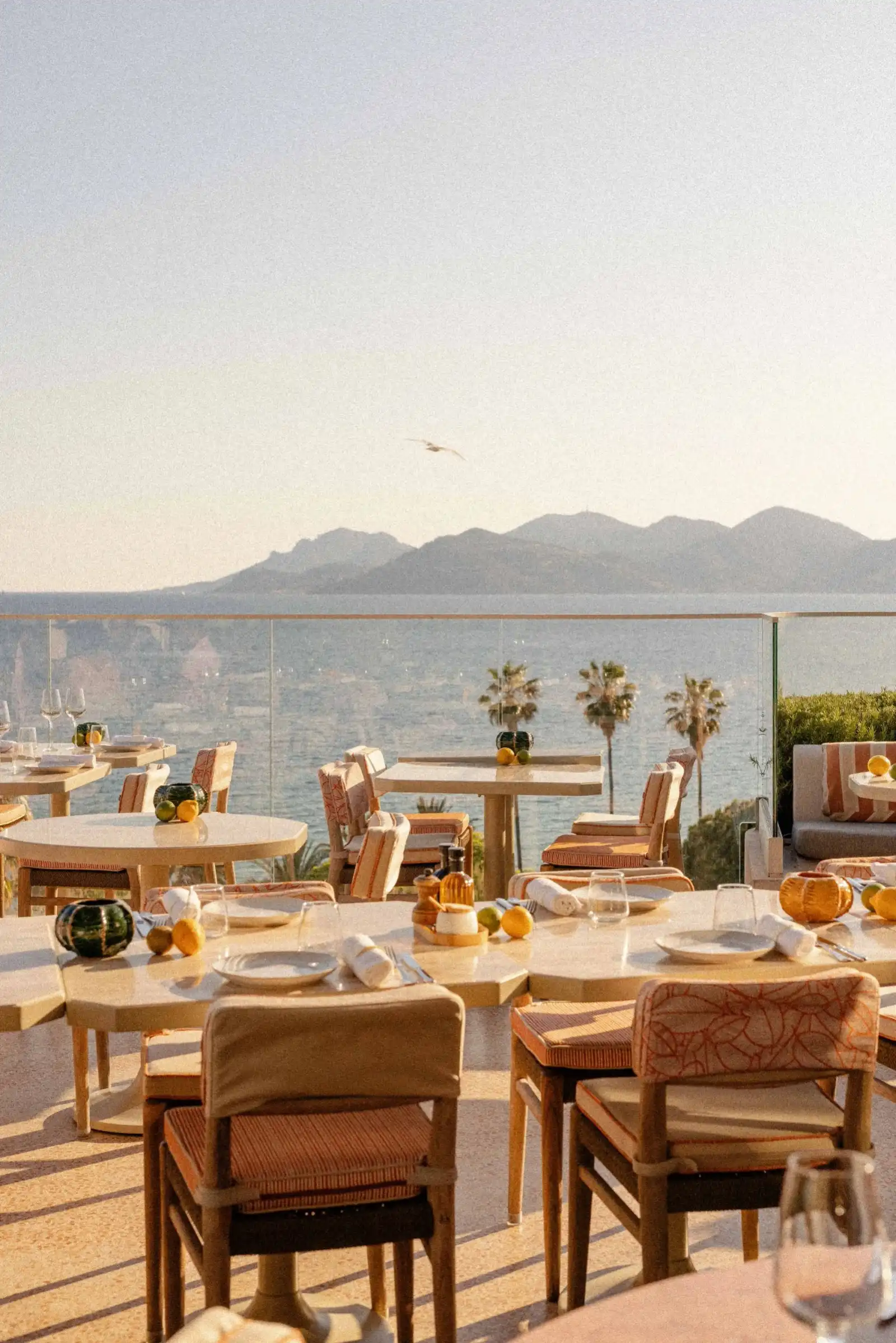 Rooftop Bella in Cannes - 1