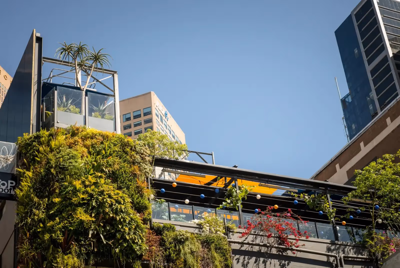 Rooftop Loop Roof in Melbourne - 3