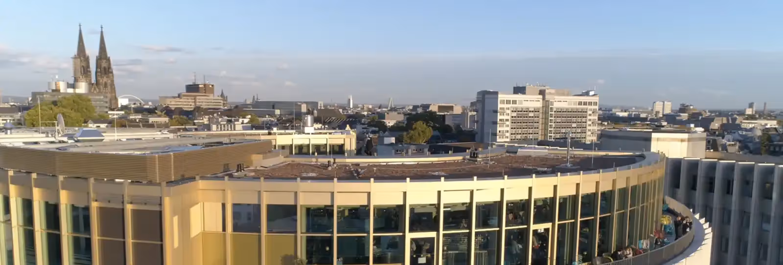 Rooftop Monkey Bar in Köln - 1