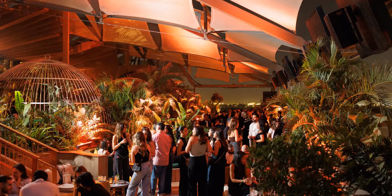 Rooftop Monkey Bar in Dubai - 3