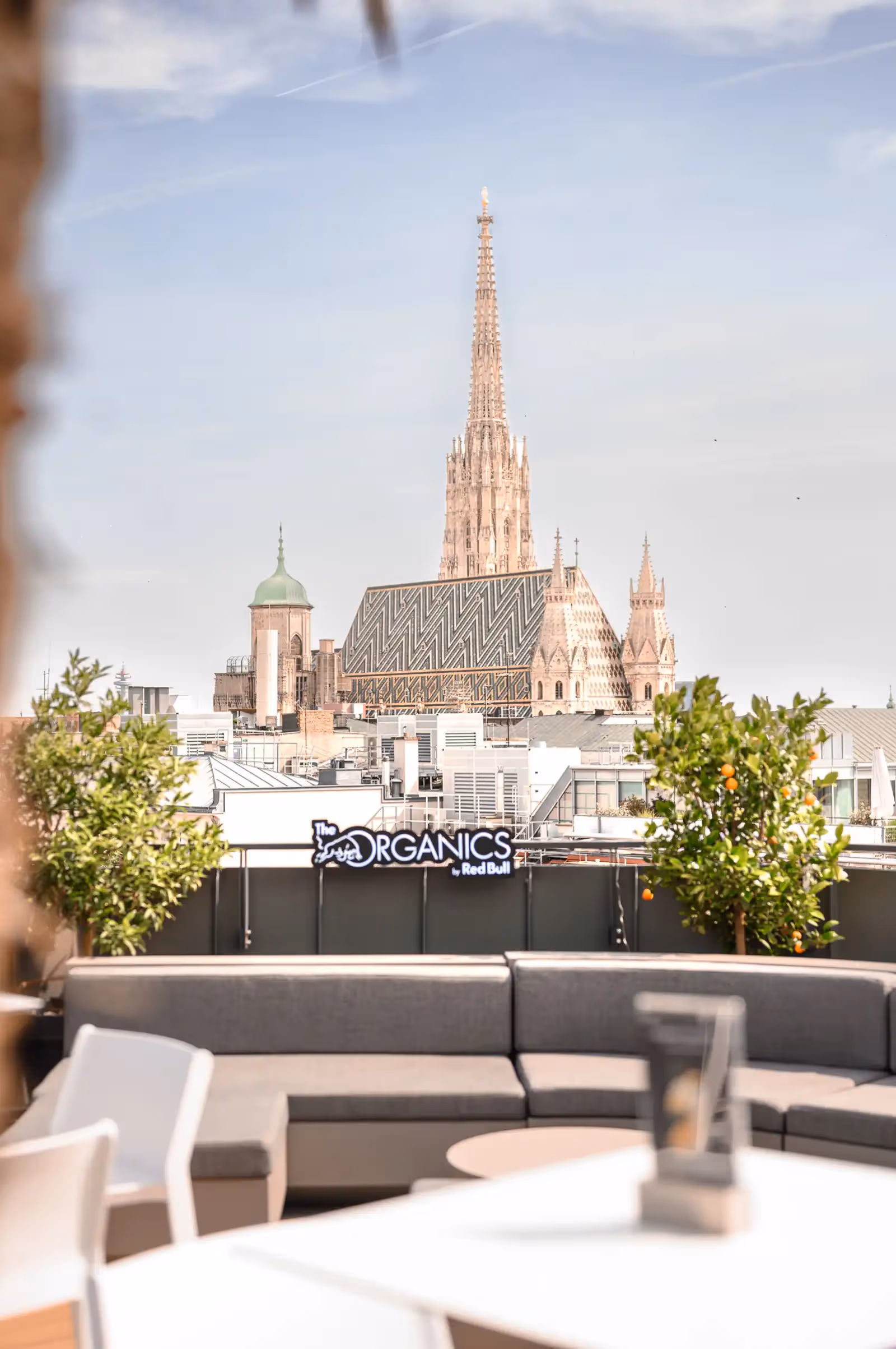 Rooftop ORGANICS Sky Garden in Wien - 4