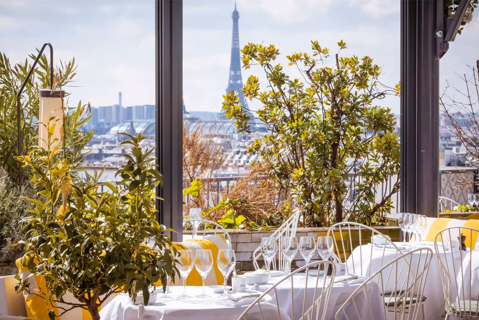 Rooftop Perruche in Paris - 1