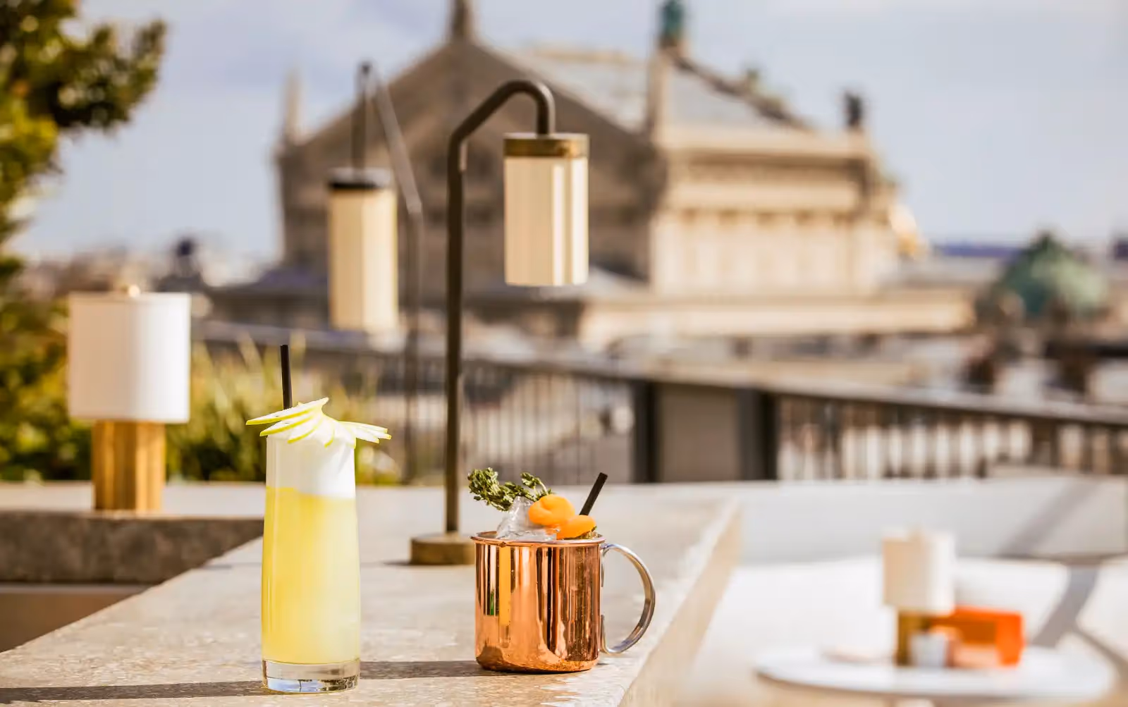 Rooftop Perruche in Paris - 2