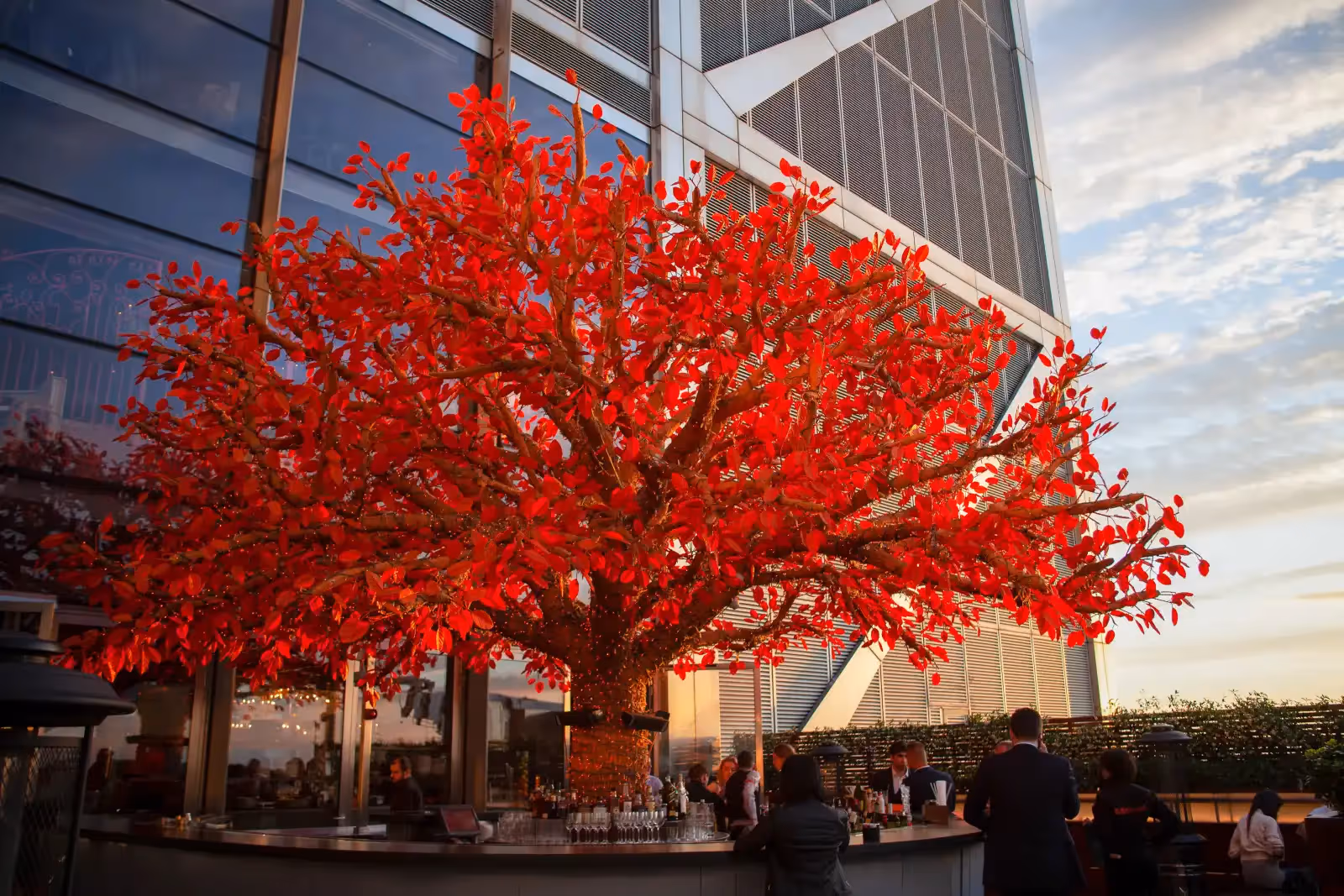 Rooftop SUSHISAMBA in London - 2