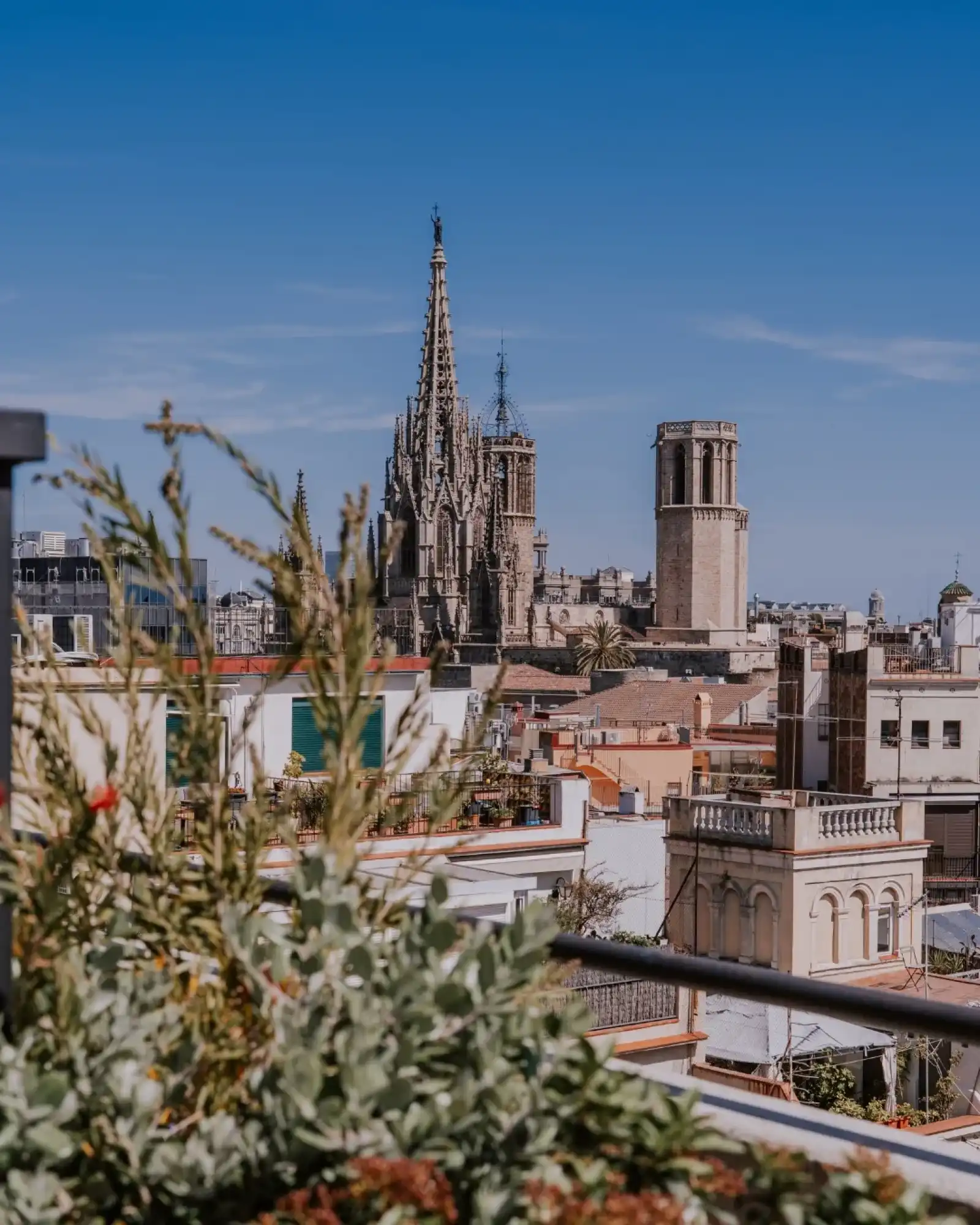 Rooftop Terraza de Vivi in Barcelona - 3