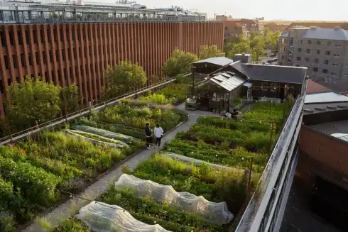 Rooftop Gro Spiseri Kopenhagen